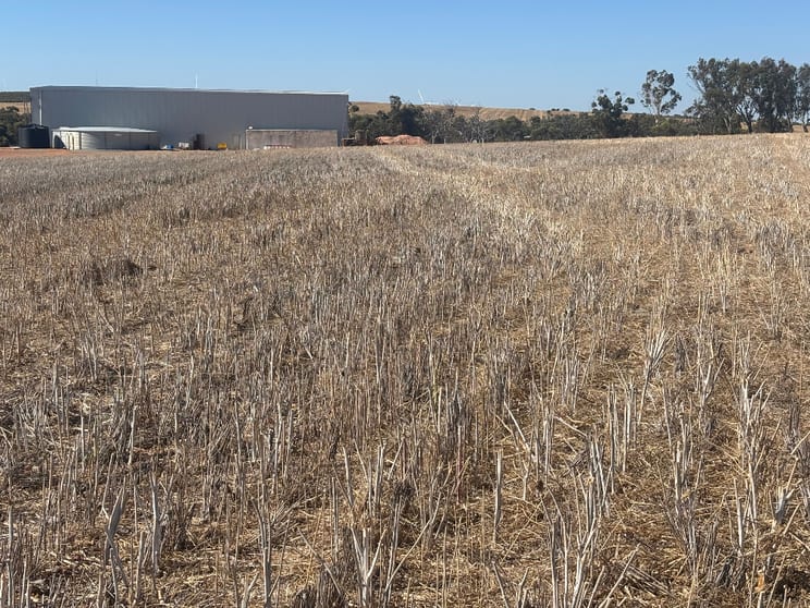 6062 Coorow-Greenhead Road Warradarge WA 6518 - Image 2