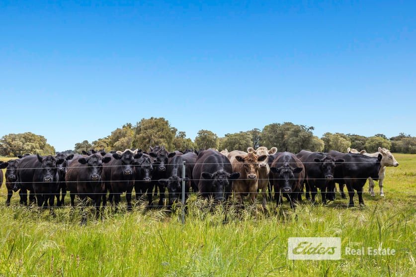 Click to view all images 384 Gavins Road Capel WA 6271 - Image 3