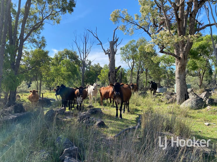 Click to view all images 1111 Karoola Road Inverell NSW 2360 - Image 3