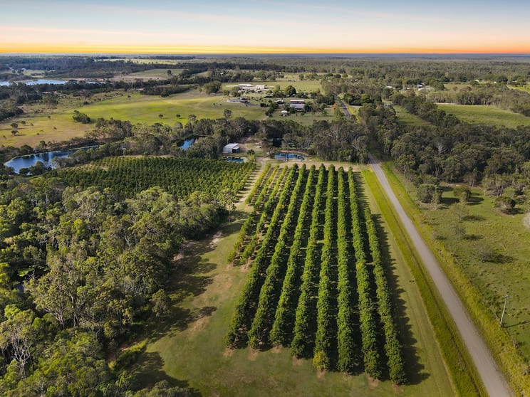 Click to view all images 40 Olivers Road Goodwood QLD 4660 - Image 2