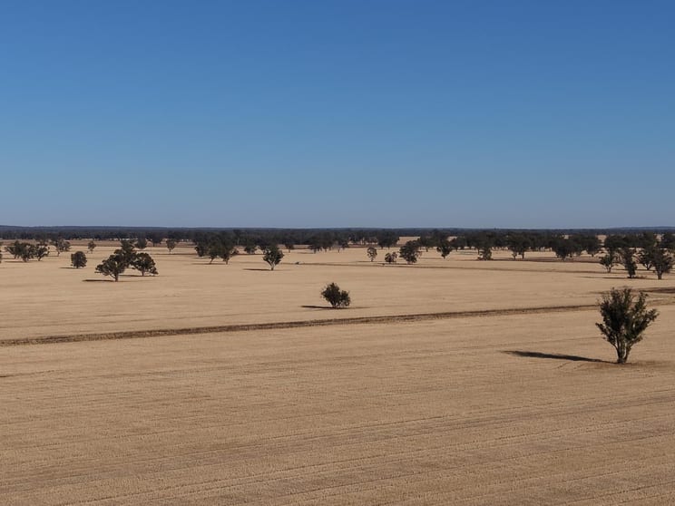 Click to view all images Part Woodville Blackstock Hill Road Peak Hill NSW 2869 - Image 3
