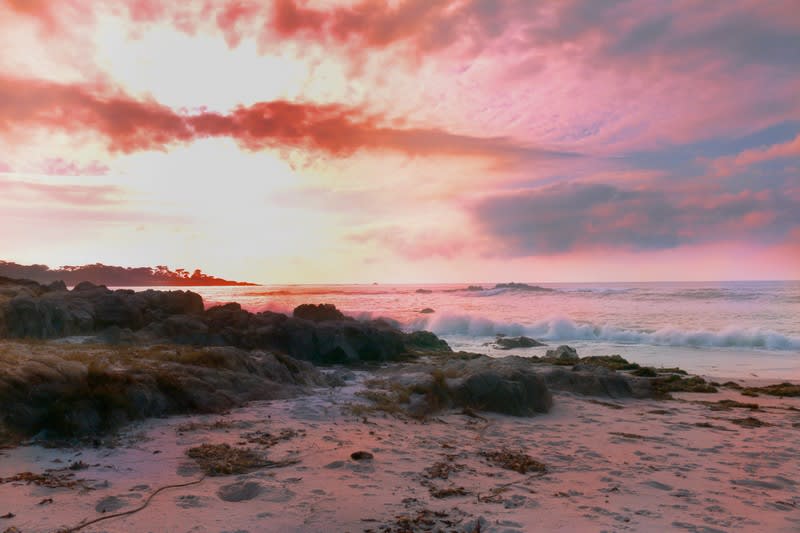 Click to view all images Tours business for sale in VIC - Image 3