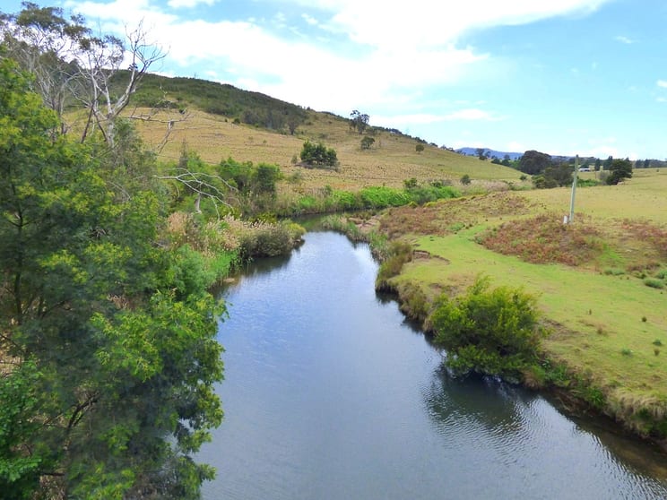 2742 Mount Darragh Rd Wyndham NSW 2550 - Image 2