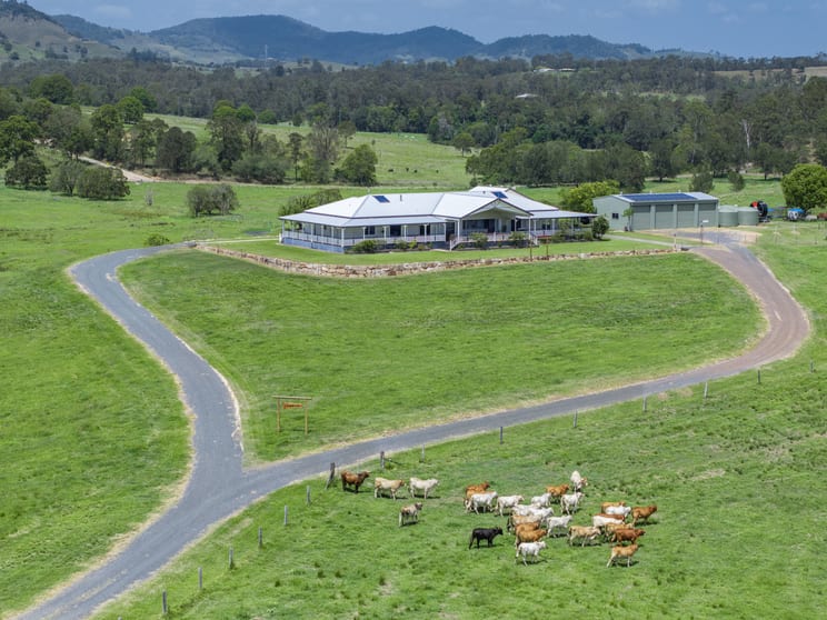 Click to view all images 75 Kajarabie Road Lagoon Pocket QLD 4570 - Image 3