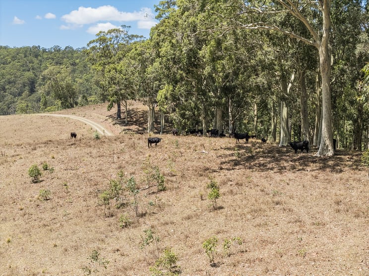 Click to view all images Lot 32 // 752445 Black Rock Road Martins Creek NSW 2420 - Image 2