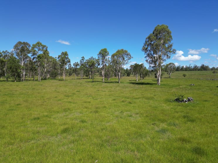 Click to view all images 885 Tatham Ellangowan Road Ellangowan NSW 2470 - Image 3