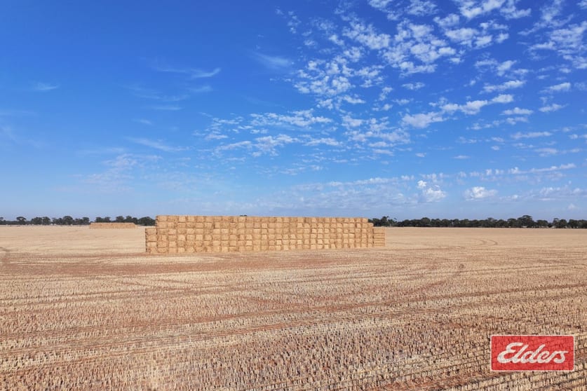Click to view all images Lot 73 &74 Ham Road Moama NSW 2731 - Image 1