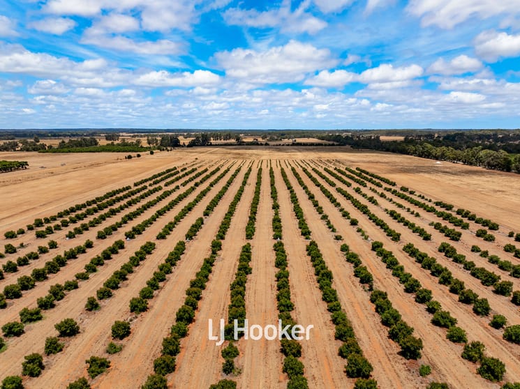 Click to view all images 73/ Payne Road Kaloorup WA 6280 - Image 3