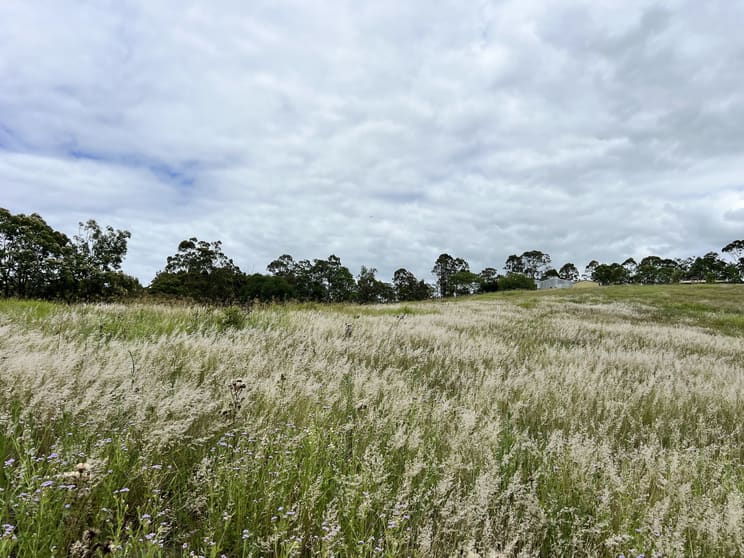 Click to view all images 905 Mary Valley Road Lagoon Pocket QLD 4570 - Image 2