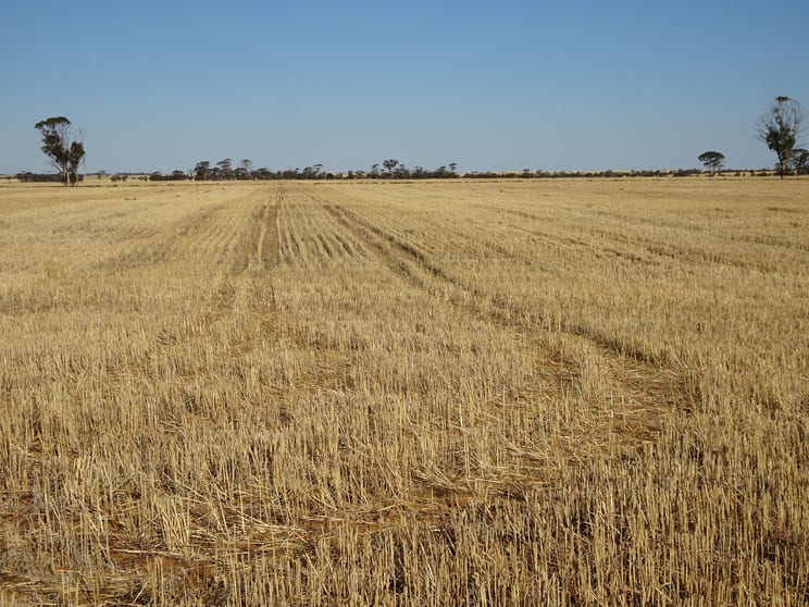 3397 Bendering Road Kondinin WA 6367 - Image 3