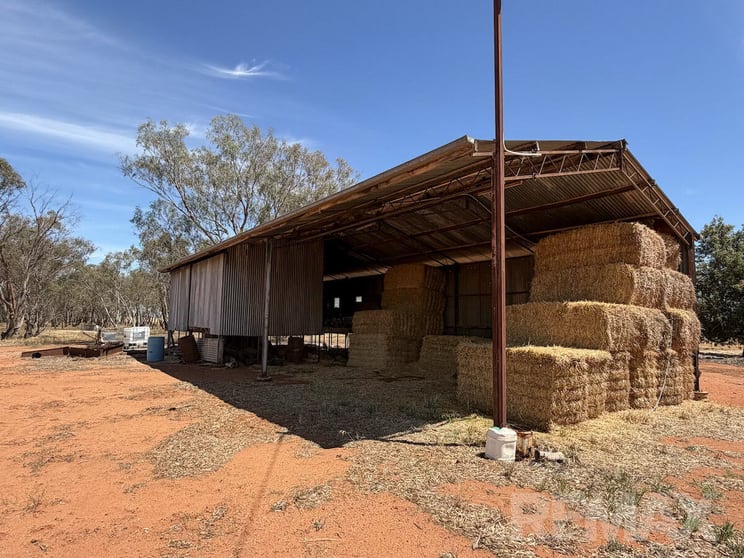 9547 Mahonga Road Urana NSW 2645 - Image 2