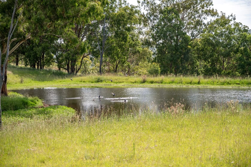 1006 North Branch Road Goomburra QLD 4362 - Image 3
