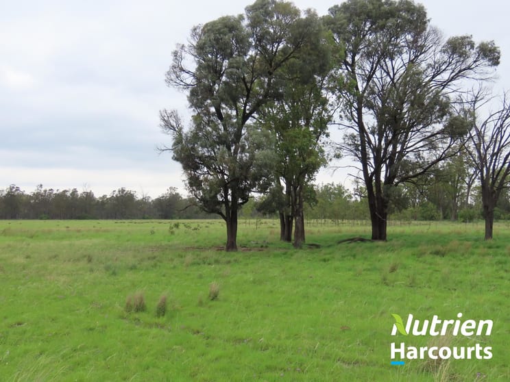 Click to view all images 2138 Burra Burri Creek Road Chinchilla QLD 4413 - Image 3