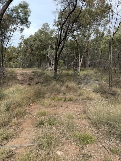 Click to view all images Lot 29 Gazzards Road Tara QLD 4421 - Image 2