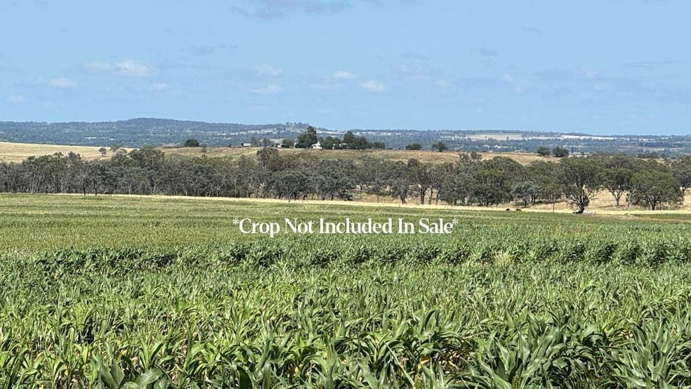 Click to view all images Lot 50 Rosenberger Road Wyreema QLD 4352 - Image 2