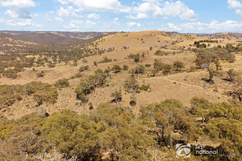 Click to view all images 1453 Windeyer Road Mudgee NSW 2850 - Image 2