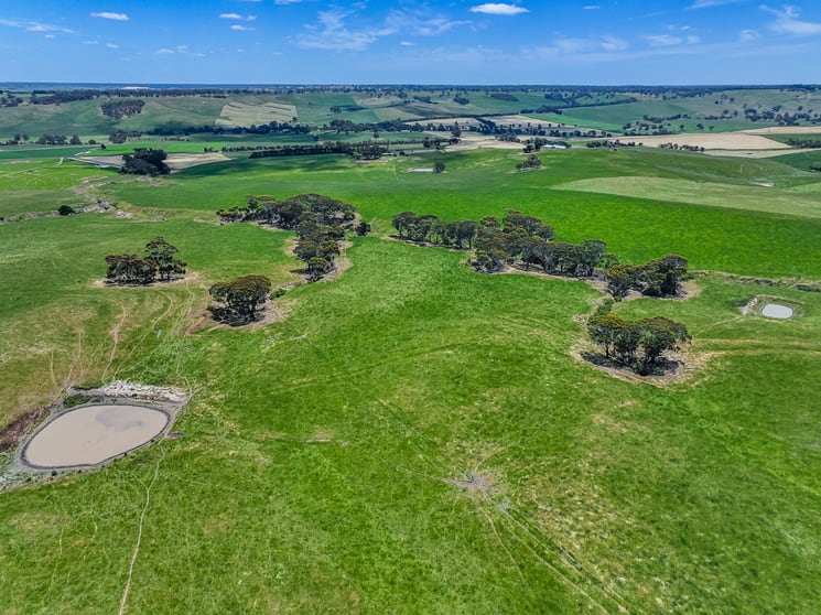 Click to view all images 41 Uptons Road Wando Vale VIC 3312 - Image 1