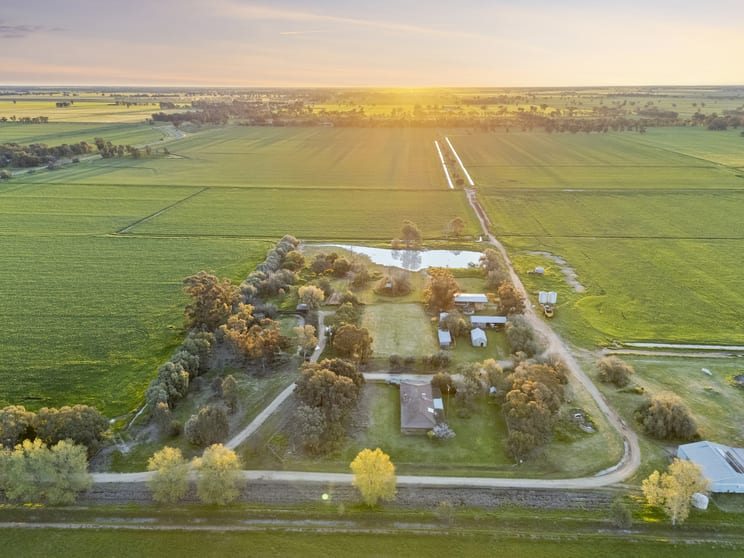 520 Mayrung Road Finley NSW 2713 - Image 2