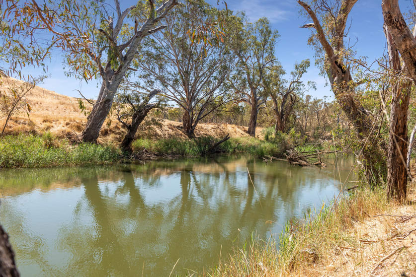 2, 93 Axedale Quarry Road Axedale VIC 3551 - Image 2