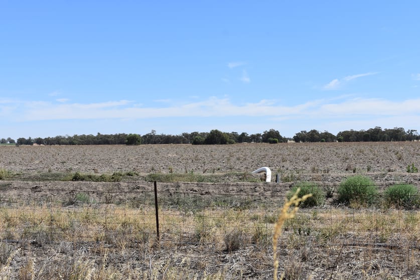 Click to view all images Farms 5, 5 Additional, 45, 46 & 47 Coleambally NSW 2707 - Image 3