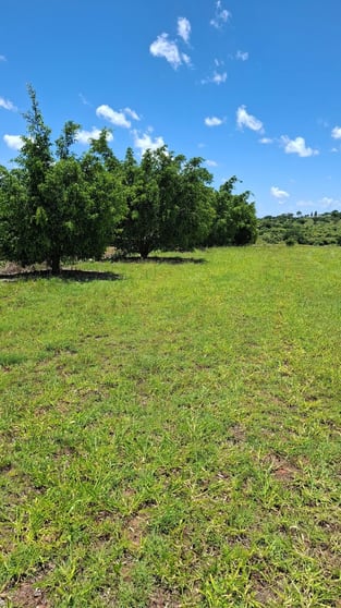 Click to view all images Toll QLD 4820 - Image 3
