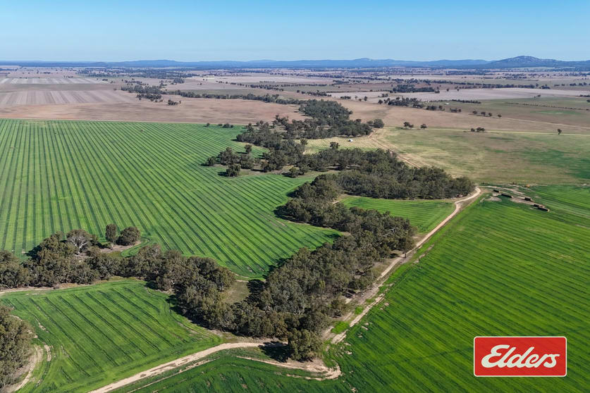Loddon West Road Fiery Flat VIC 3518 - Image 3