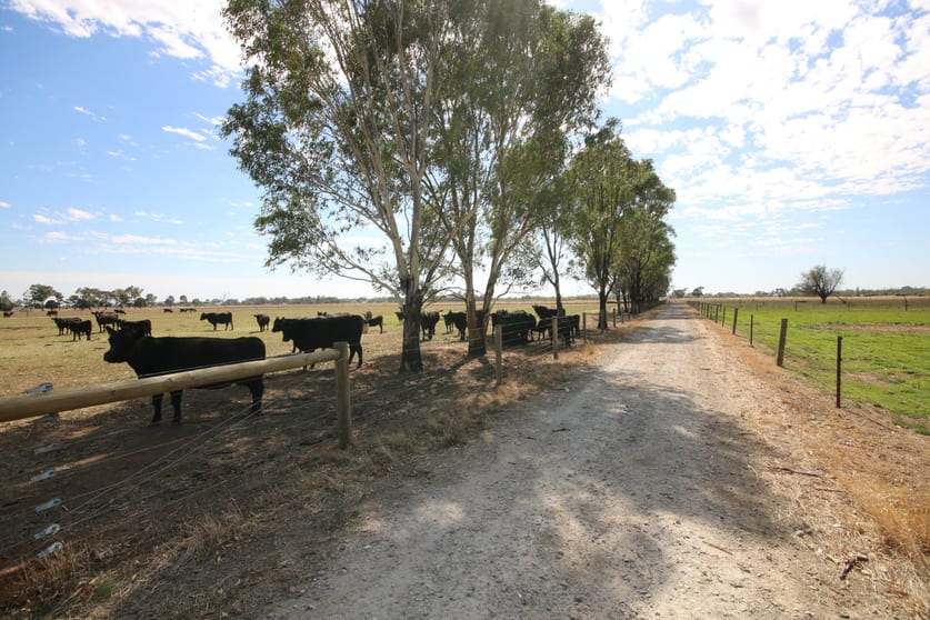 Click to view all images 1480 Fennaughty Road Merrigum VIC 3618 - Image 1