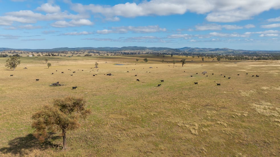 Click to view all images 'Jacksons Block' Bendemeer Road Uralla NSW 2358 - Image 2