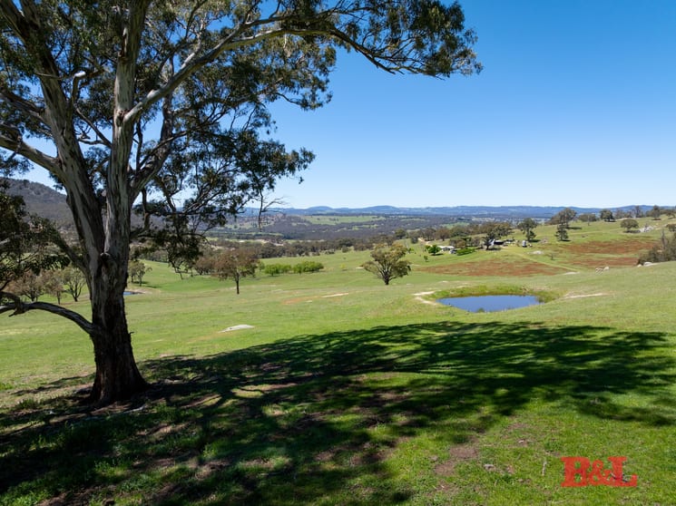 Click to view all images 1977 Tarana Road Gemalla NSW 2795 - Image 2