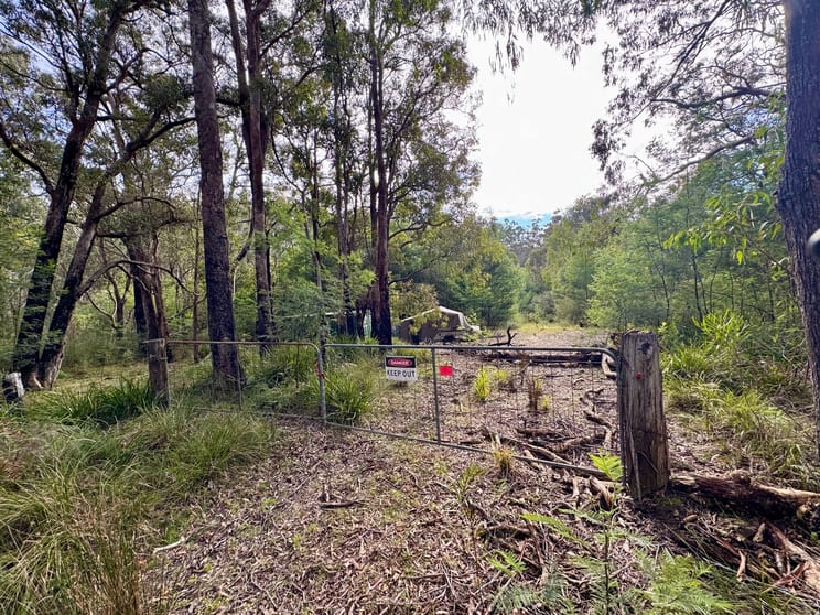 Click to view all images Lot 1 & 2 Maxwells Road Nadgee NSW 2551 - Image 1