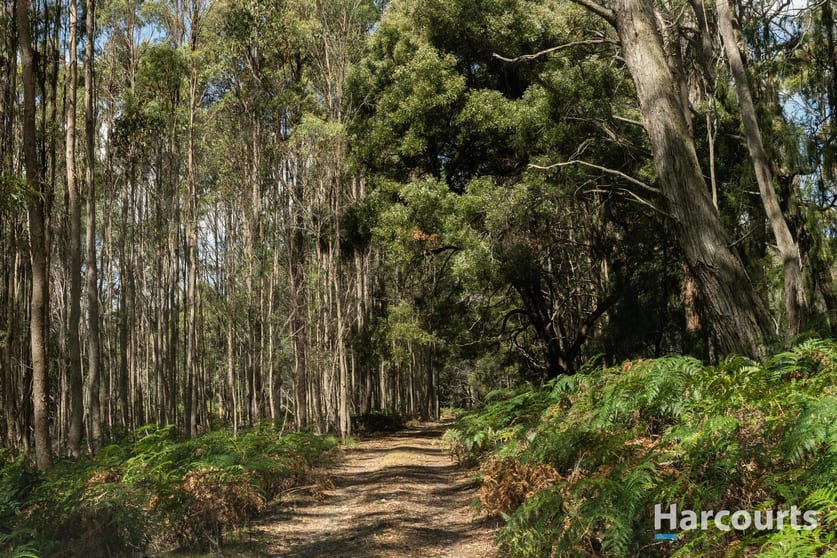 46 Hawleys Lane Weegena TAS 7304 - Image 3