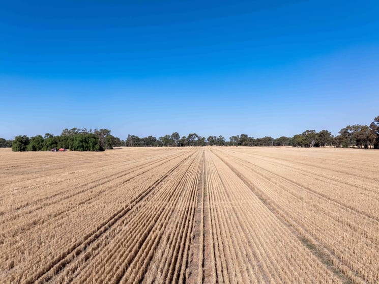 96 Odwyer Road Tabilk VIC 3607 - Image 1