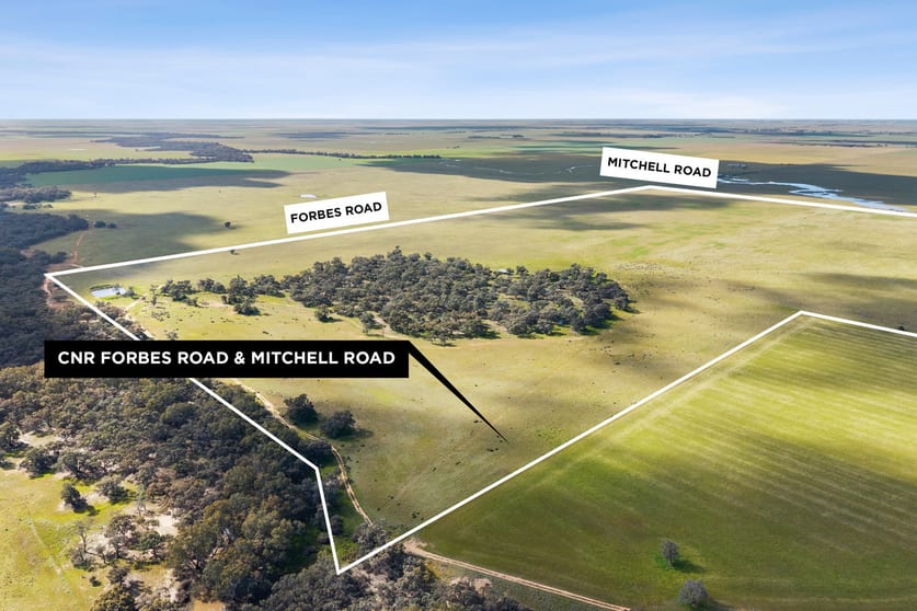 Cnr Forbes & Mitchell Roads Mitiamo VIC 3573 - Image 3