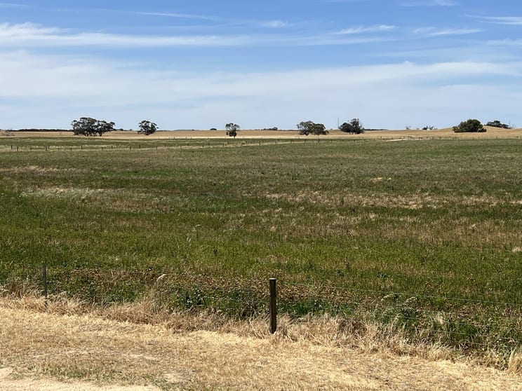 Click to view all images 485 Freak Road Coonalpyn SA 5265 - Image 3