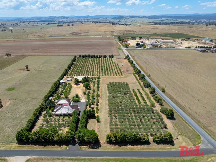 7 Melrose Drive Raglan NSW 2795 - Image 2