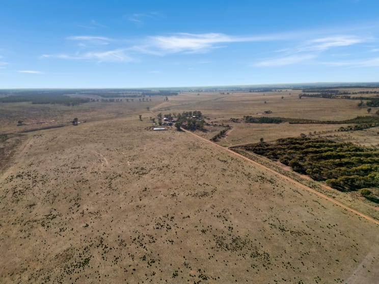 Click to view all images 603 Charcoal Tank Road West Wyalong NSW 2671 - Image 3