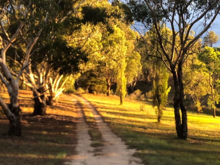 Click to view all images 22 Bluff River Road Tenterfield NSW 2372 - Image 1