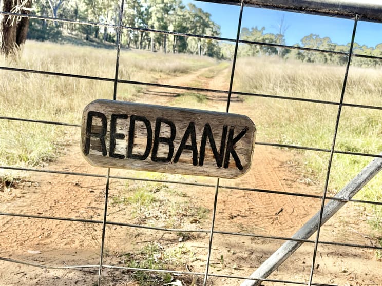Click to view all images 2875 Newell Highway Rocky Glen NSW 2357 - Image 1