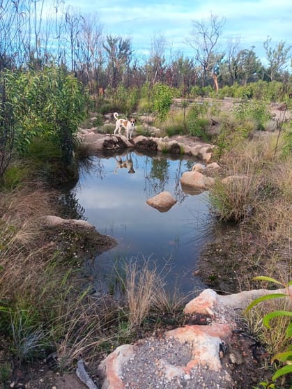 Click to view all images 872 South Road Tara QLD 4421 - Image 1