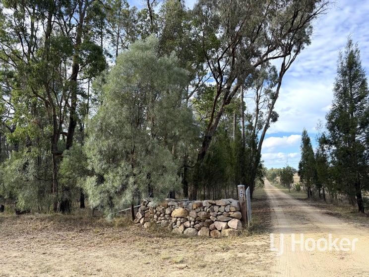 Click to view all images 1363 Howell Road Howell NSW 2360 - Image 3