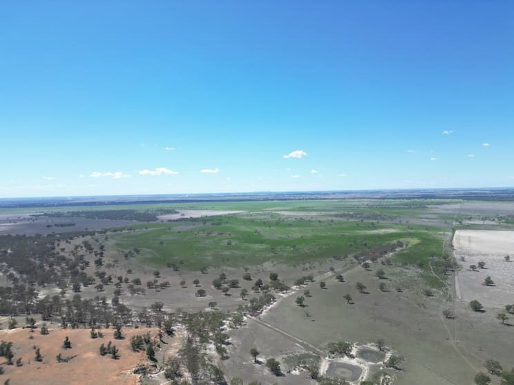 Click to view all images LOT 1 LP135805, 1 Cocketgedong Road Urana NSW 2645 - Image 3