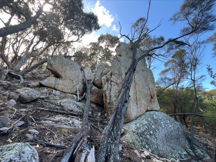 Click to view all images Lot 2 West End Road Leeka TAS 7255 - Image 2