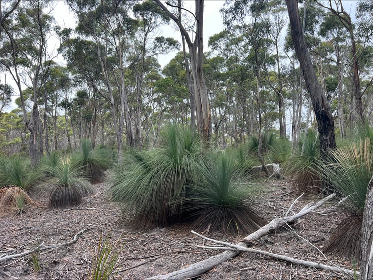 Click to view all images Lot 3 Hines Road Whitemark TAS 7255 - Image 3