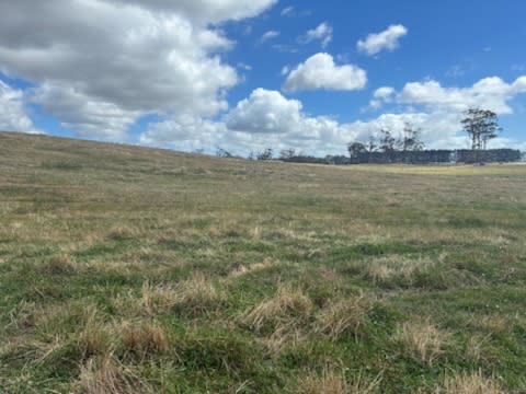 Click to view all images PID 6250932 Montagu Road Scopus TAS 7330 - Image 1