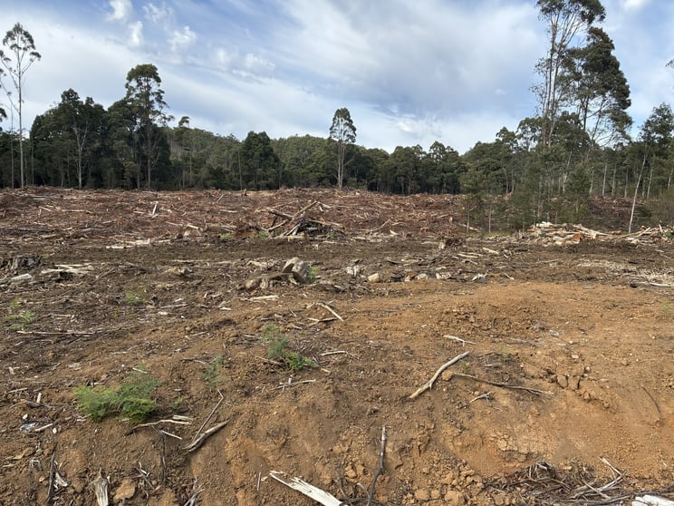 Click to view all images . Calder Road Calder TAS 7325 - Image 1