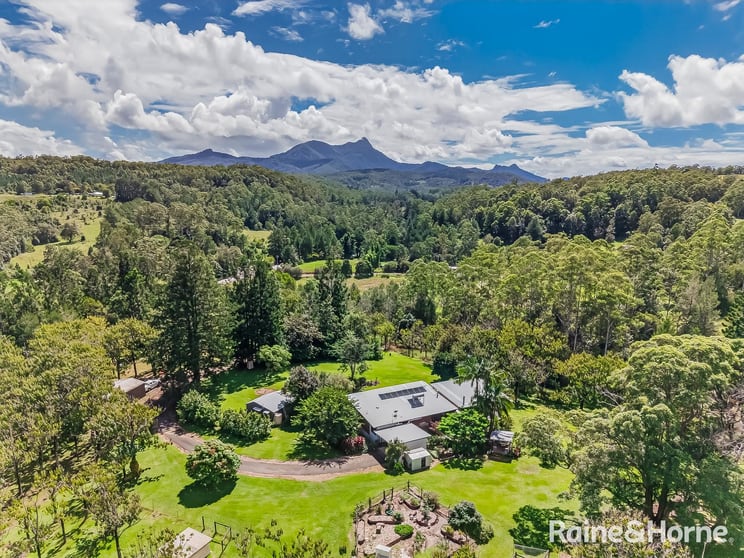 3221 Kyogle Road Mount Burrell NSW 2484 - Image 3
