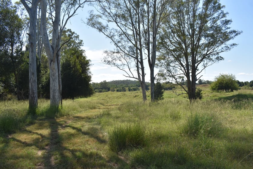 Click to view all images lot 103 Pidgeons Road Tiaro QLD 4650 - Image 3