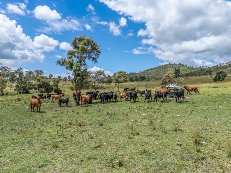 L63 & L99 Summers Road Ginoondan QLD 4625 - Image 3