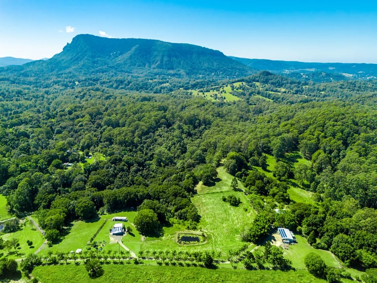61 Tallowood Road Lillian Rock NSW 2480 - Image 1