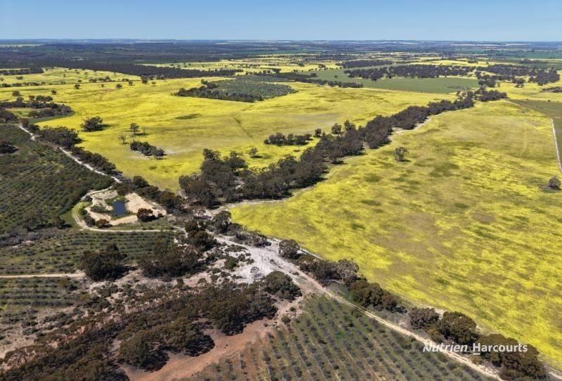 184 Ewert Road Morbinning WA 6304 - Image 1